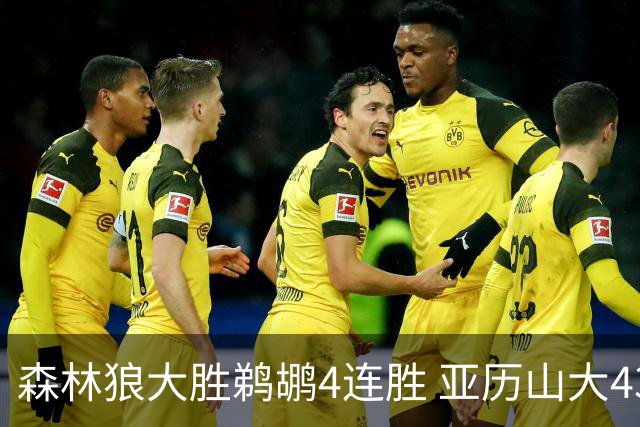 森林狼大胜鹈鹕4连胜 亚历山大43分雷霆克骑士