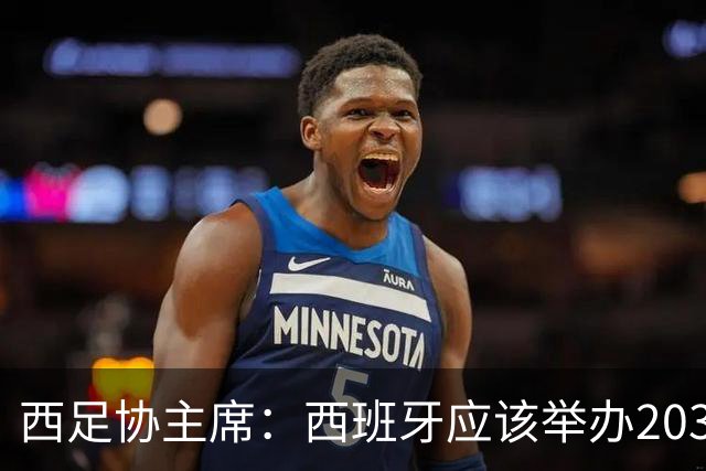 西足协主席：西班牙应该举办2030世界杯决赛，我们各方面条件最优